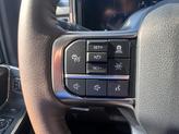 Thumbnail of 2025 Agate Black Metallic Ford F-250