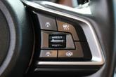 Thumbnail of 2022 Autumn Green Metallic Subaru Outback