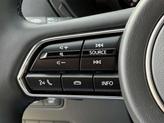 Thumbnail of 2025 Platinum Mazda CX-90