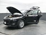 Thumbnail of 2021 Black Metallic Ford Escape