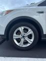 Thumbnail of 2014 White Ford Escape