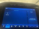 Thumbnail of 2021 Gray Metallic Ford F-150