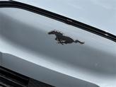 Thumbnail of 2025 Glacier Gray Metallic Ford Mustang Mach-E