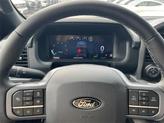 Thumbnail of 2025 Agate Black Metallic Ford F-150