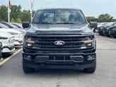 Thumbnail of 2025 Agate Black Metallic Ford F-150