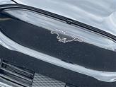 Thumbnail of 2025 Shadow Black Ford Mustang Mach-E