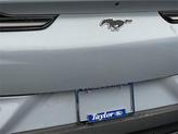Thumbnail of 2025 Glacier Gray Metallic Ford Mustang Mach-E