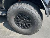 Thumbnail of 2025 Shadow Black Ford Bronco