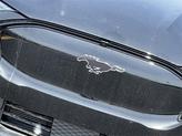 Thumbnail of 2025 Shadow Black Ford Mustang Mach-E