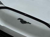Thumbnail of 2025 Star White Ford Mustang Mach-E
