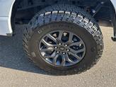 Thumbnail of 2023 Avalanche Gray Ford F-150