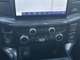 Thumbnail of 2023 Avalanche Gray Ford F-150