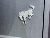 Thumbnail of 2025 Carbonized Gray Metallic Ford Bronco