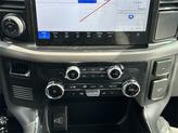 Thumbnail of 2025 Carbonized Gray Metallic Ford F-150 Lightning
