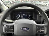 Thumbnail of 2025 Carbonized Gray Metallic Ford F-150 Lightning