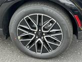 Thumbnail of 2025 Shadow Black Ford Mustang Mach-E