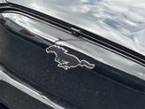 Thumbnail of 2025 Shadow Black Ford Mustang Mach-E