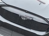 Thumbnail of 2025 Shadow Black Ford Mustang Mach-E