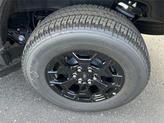 Thumbnail of 2025 Carbonized Gray Metallic Ford F-150 Lightning