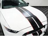 Thumbnail of 2019 WHITE Ford Shelby GT350R