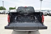 Thumbnail of 2025 Agate Black Metallic Ford F-150