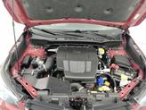 Thumbnail of 2021 Red Subaru Forester