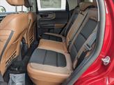 Thumbnail of 2025 Ruby Red Metallic Tinted Clearcoat Ford Bronco Sport