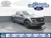 Photo of 2025 Gray Metallic Ford F-150