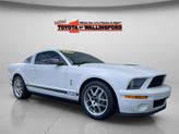 Thumbnail of 2009 Performance White Clearcoat Ford Shelby GT500