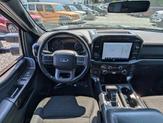 Thumbnail of 2022 Agate Black Metallic Ford F-150