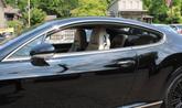 Thumbnail of 2005 Beluga Bentley Continental GT