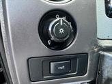 Thumbnail of 2013 Dark Green Ford F-150