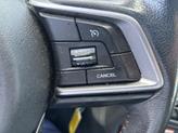 Thumbnail of 2019 Crystal White Pearl Subaru Crosstrek