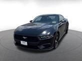 Thumbnail of 2024 Shadow Black Ford Mustang