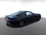 Thumbnail of 2024 Shadow Black Ford Mustang