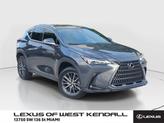 Photo of 2023 Cloudburst Gray Lexus NX 350