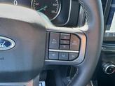 Thumbnail of 2023 HOT PEPPER RED MET TINTD CC Ford F-150