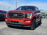 Thumbnail of 2023 HOT PEPPER RED MET TINTD CC Ford F-150