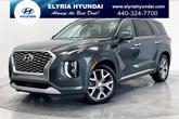 Photo of 2021 Rainforest Hyundai PALISADE