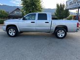 Thumbnail of 2008 Bright Silver Metallic Clearcoat Dodge Dakota