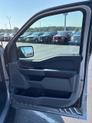 Thumbnail of 2025 Gray Ford F-150