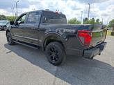 Thumbnail of 2025 Agate Black Metallic Ford F-150