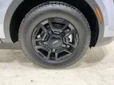 Thumbnail of 2024 Everlasting Silver Kia Sorento