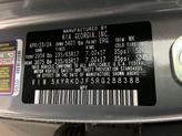 Thumbnail of 2024 Everlasting Silver Kia Sorento