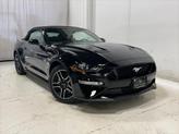 Thumbnail of 2023 Shadow Black Ford Mustang