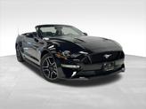 Photo of 2023 Shadow Black Ford Mustang