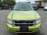 Thumbnail of 2012 Lime Squeeze Metallic Ford Escape