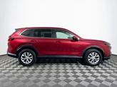 Thumbnail of 2025 Radiant Red Metallic Honda CR-V