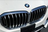 Thumbnail of 2019 Alpine White BMW X5