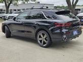 Thumbnail of 2025 Vik Black Genesis GV70